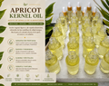 APRICOT KERNEL OIL